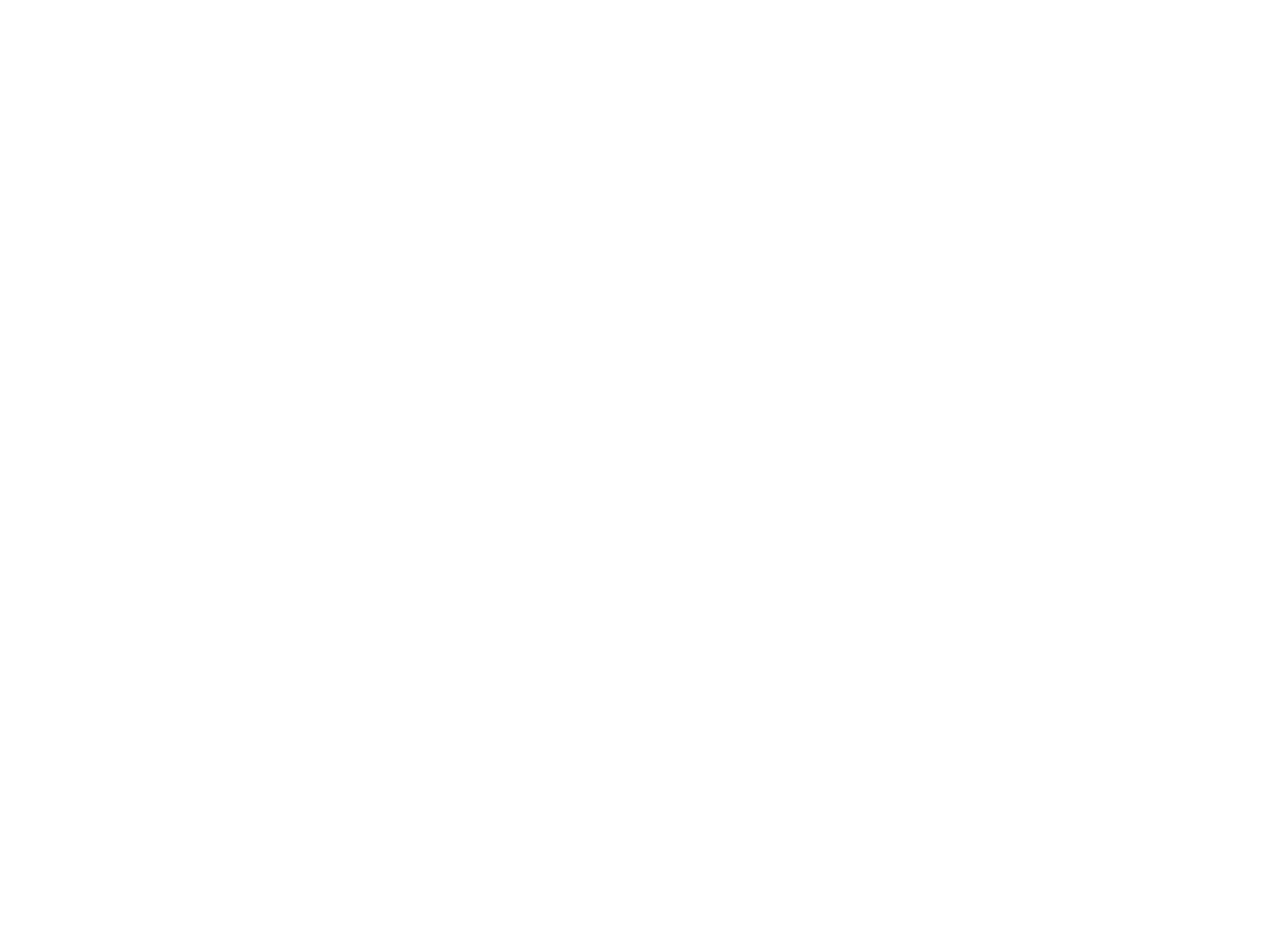 FSI Trust